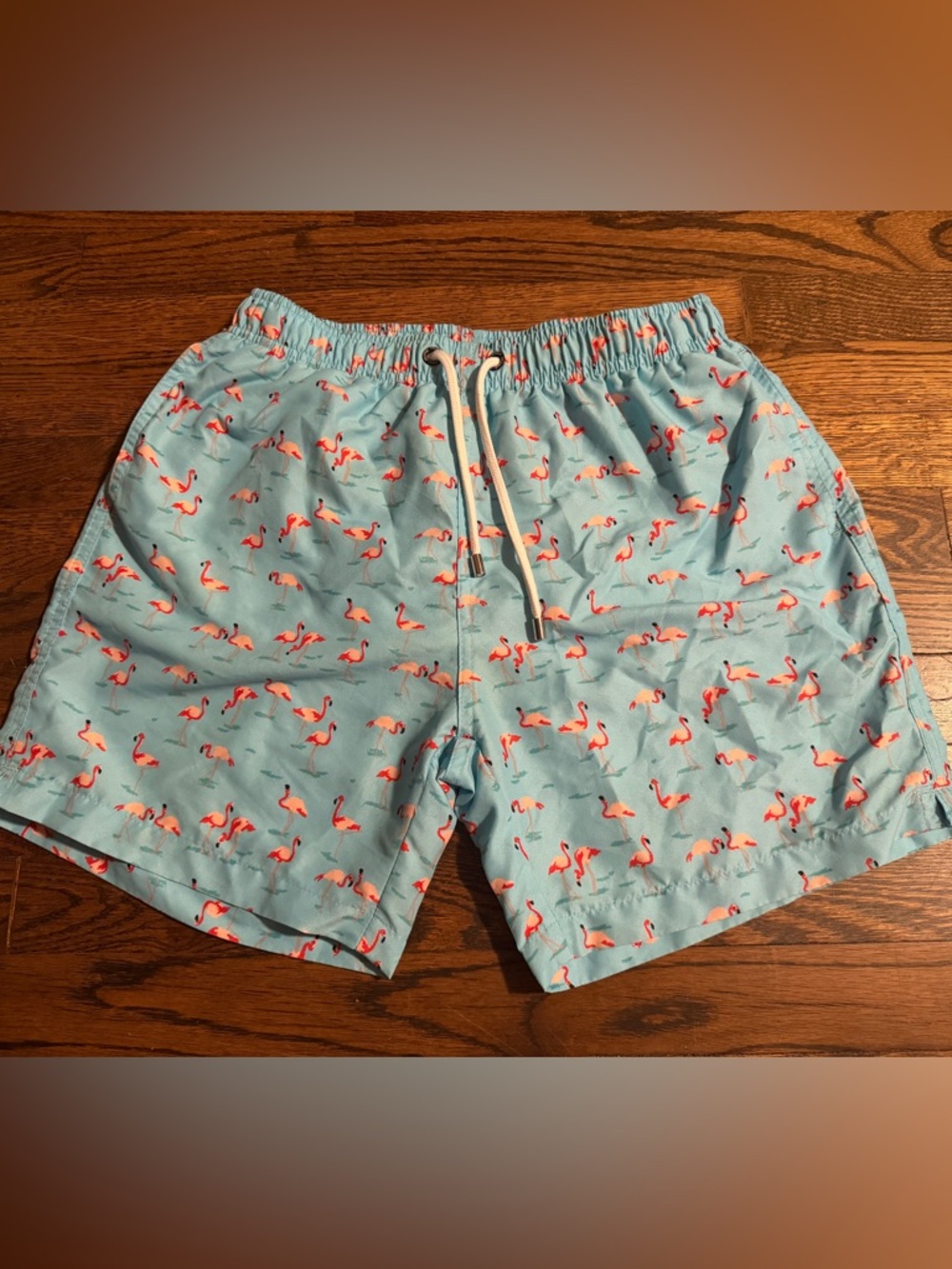 Frankie's Light Blue Flamingo Swim Shorts